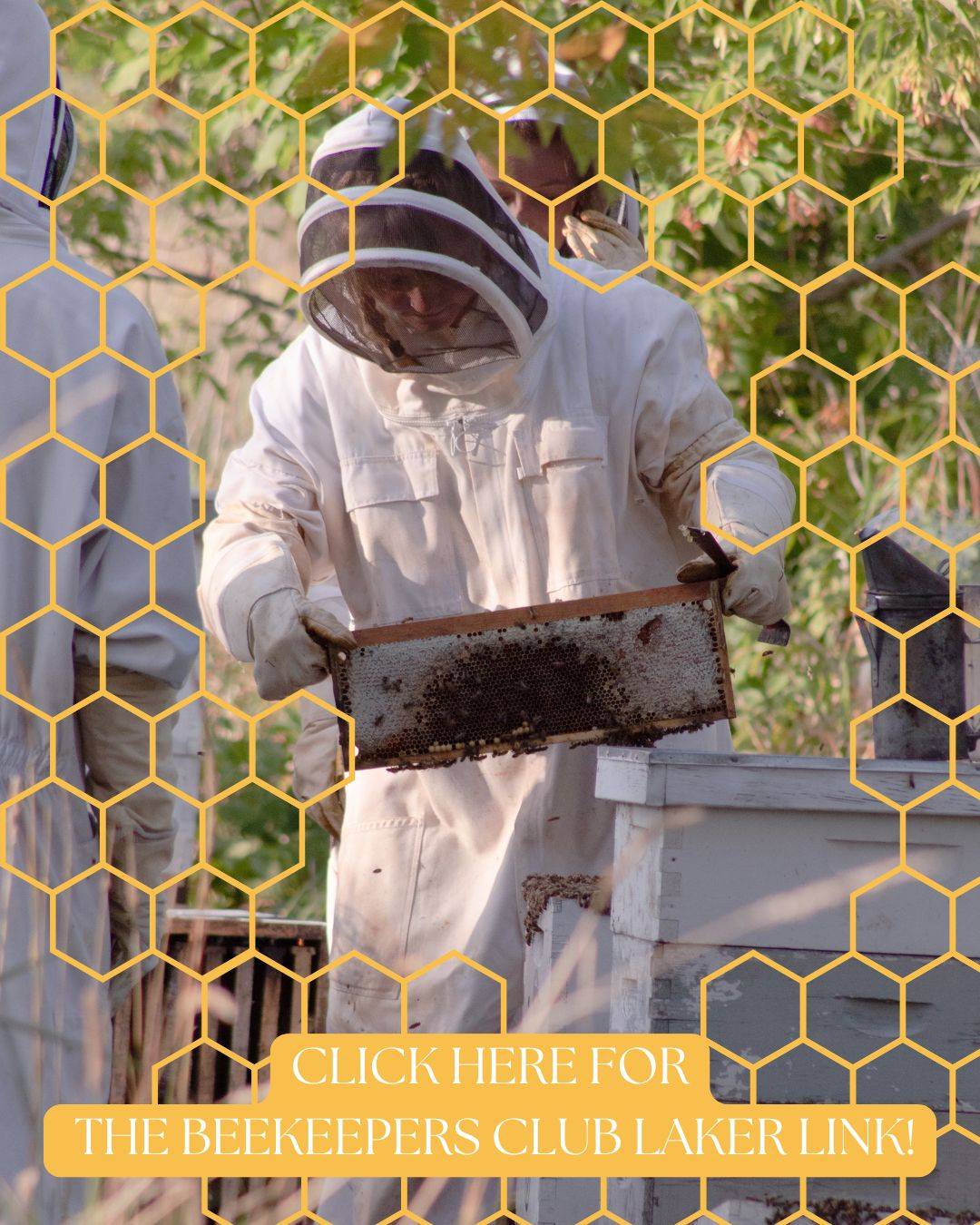 Click here for the Beekeepers Club Laker Link